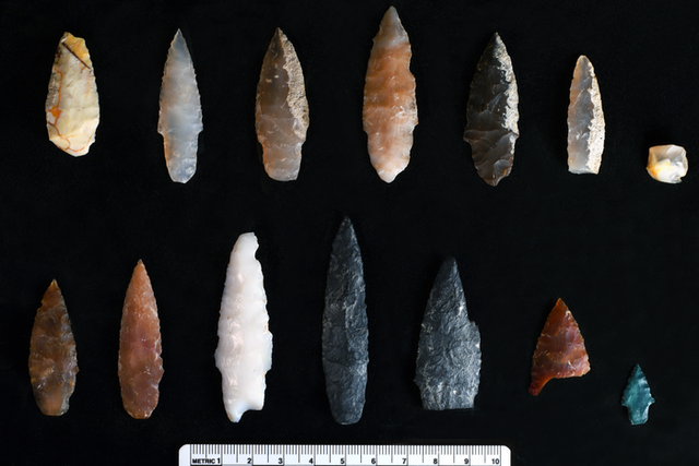 <p>Stone projectile points discovered buried inside and outside of pit features at the Cooper’s Ferry site, Area B</p>